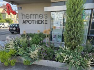 Ein Garten vor einer Apotheke